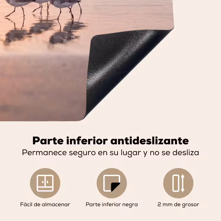 Protector de inducción - Mar - Pájaros - Playa — 6