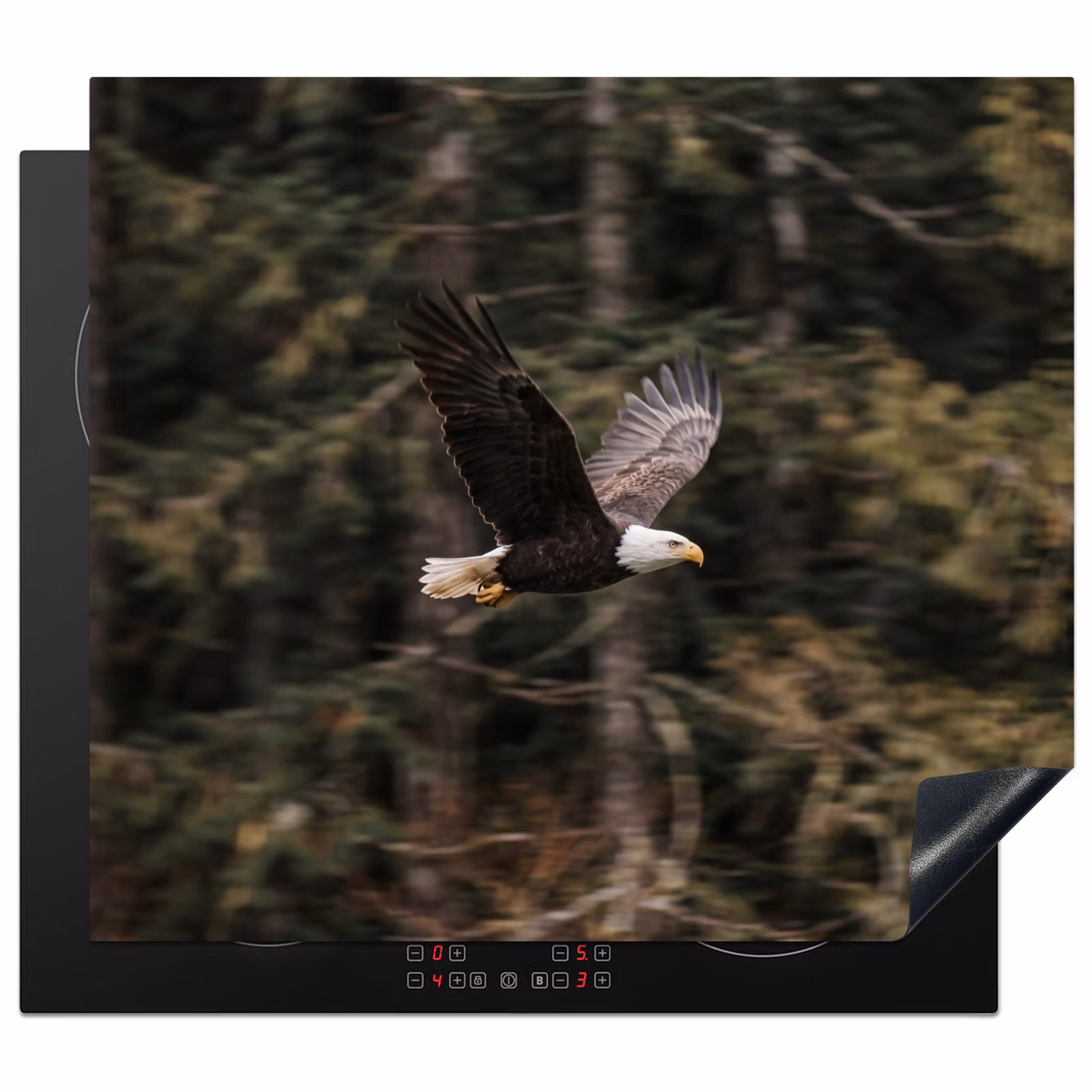 Protector de inducción - Águila calva - Volando - Bosque - Naturaleza — 1