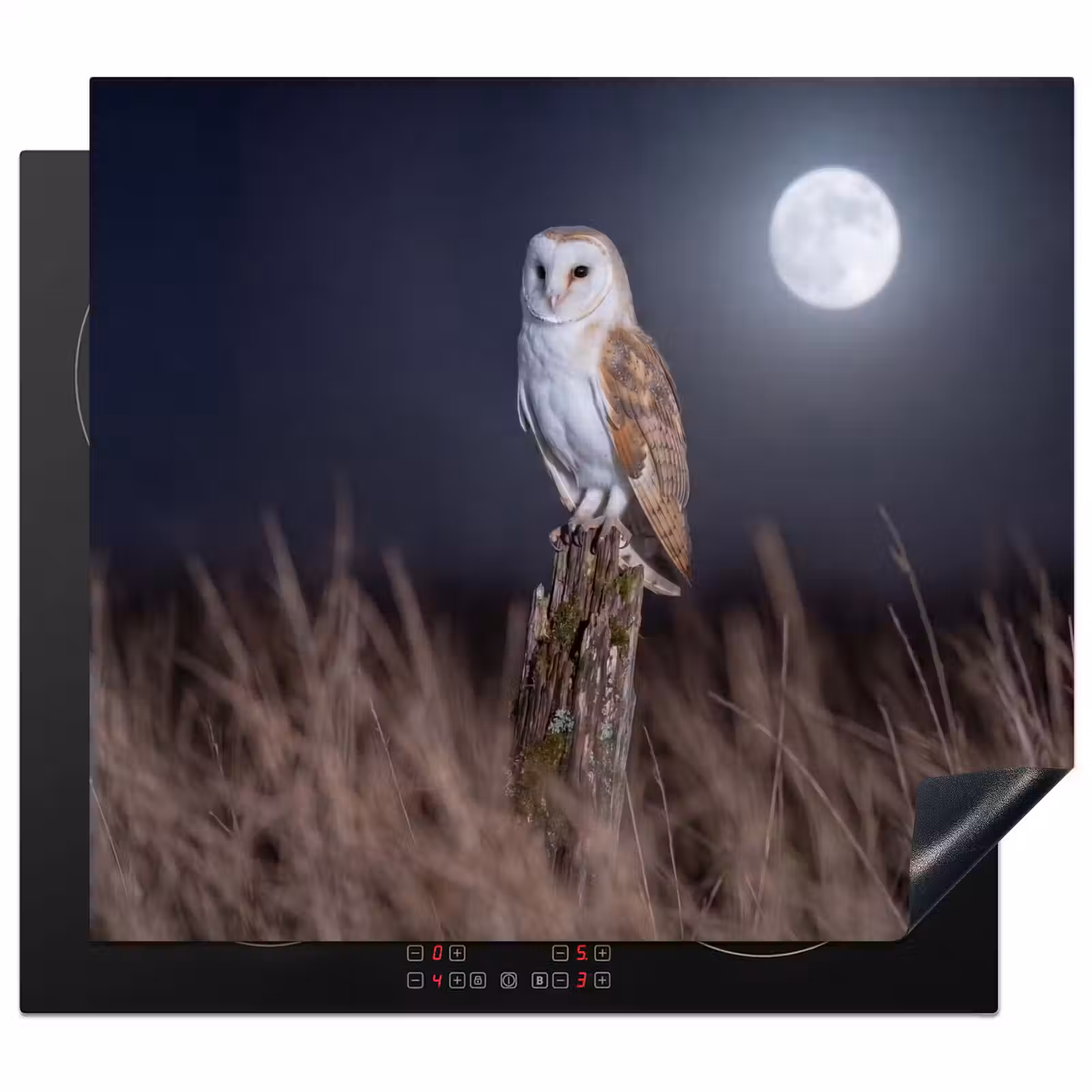 Protector de inducción - Lechuza - Luna - Noche — 1
