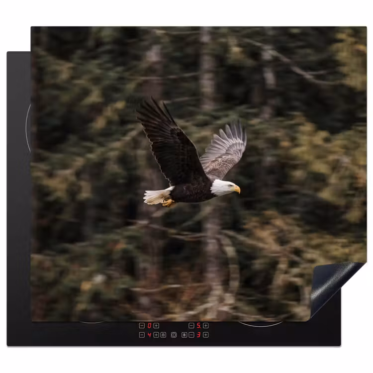 Protector de inducción - Águila calva - Volando - Bosque - Naturaleza — 1