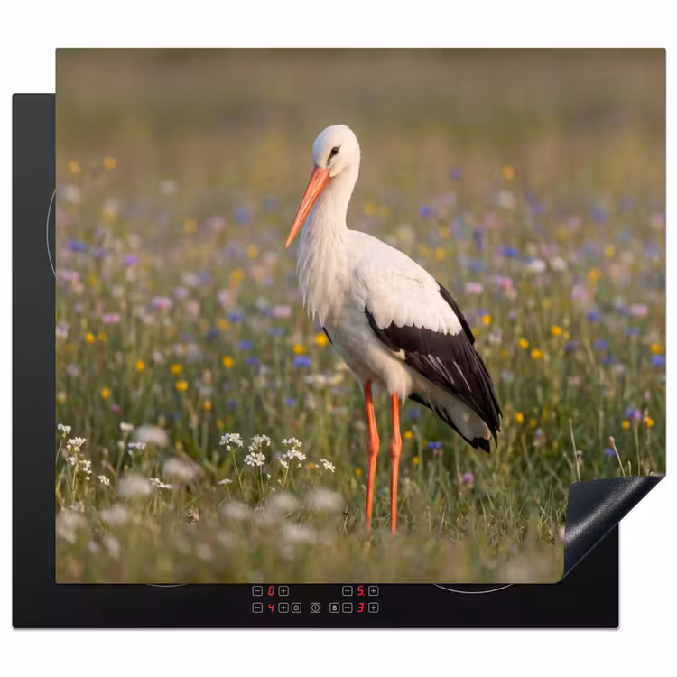Protector de inducción - Águila pescadora - Flores - Pradera - Colorido — 1