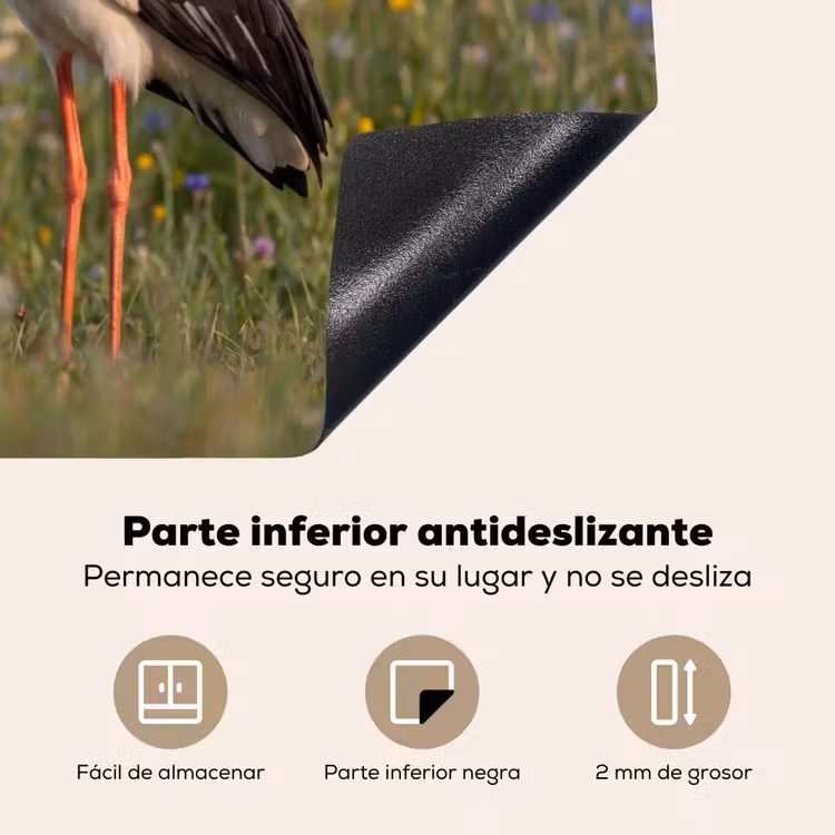 Protector de inducción - Águila pescadora - Flores - Pradera - Colorido — 6