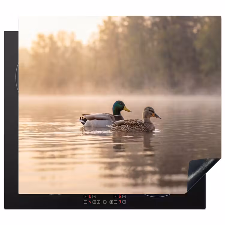 Protector de inducción - Patos - Agua - Niebla - Naturaleza — 1