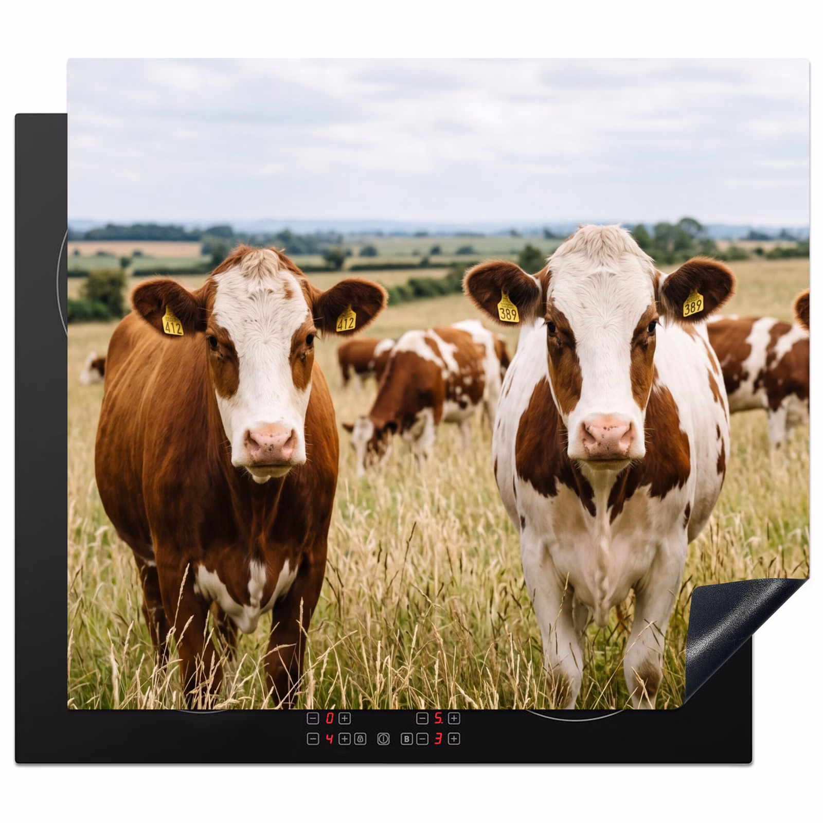 Protector de inducción - Vacas - Retrato - Pradera - Granja - Curioso — 1