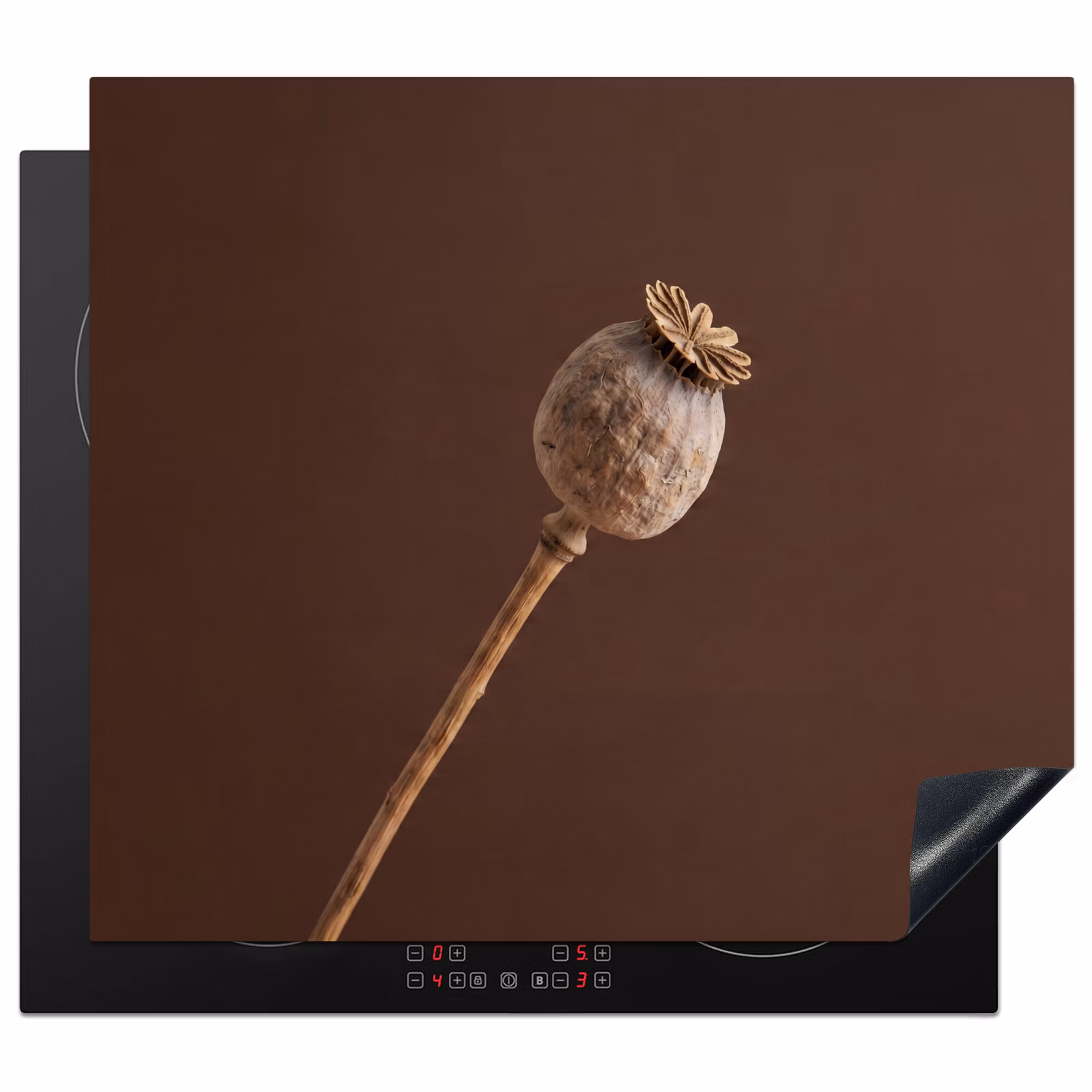 Protector de inducción - Bulbo de amapola - Flor seca - Marrón - Minimalista — 1
