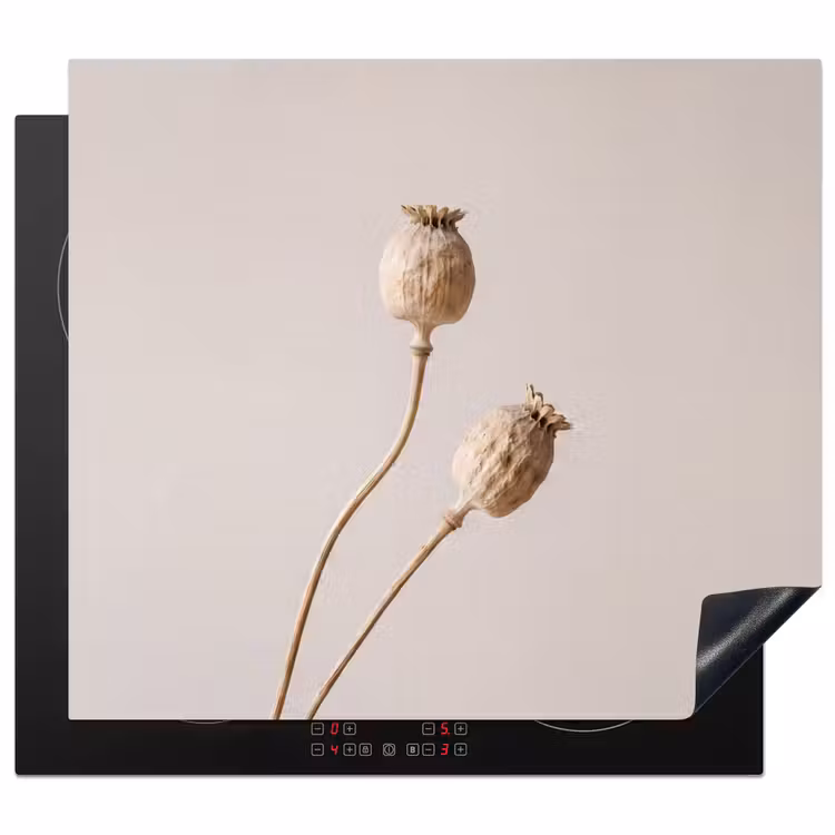 Protector de inducción - Bulbos de amapola - Flores secas - Minimalista - Beige - Tranquilo — 1