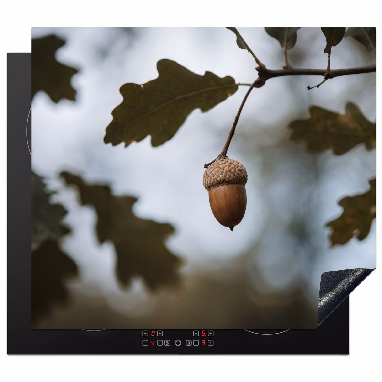 Protector de inducción - Bellota - Hoja de roble - Bosque - Otoño - Naturaleza — 1