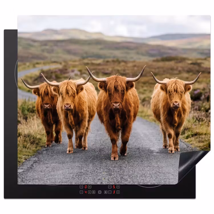 Protector de inducción - Highlanders escoceses - Carretera - Paisaje - Rebaño — 1