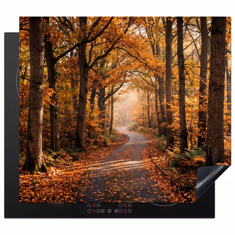 Protector de inducción - Senda forestal - Bosque otoñal - Hojas - Naranja - Nostálgico — 1