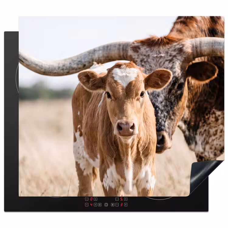 Protector de inducción - Texas Longhorn - Ternero - Pasto - Animales — 1