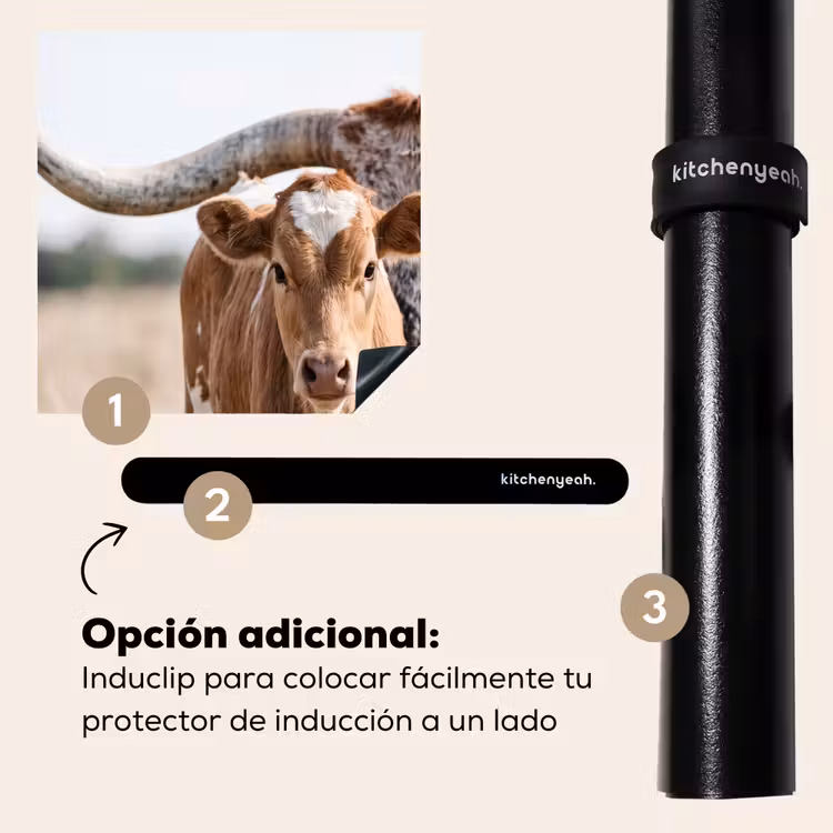 Protector de inducción - Texas Longhorn - Ternero - Pasto - Animales — 8