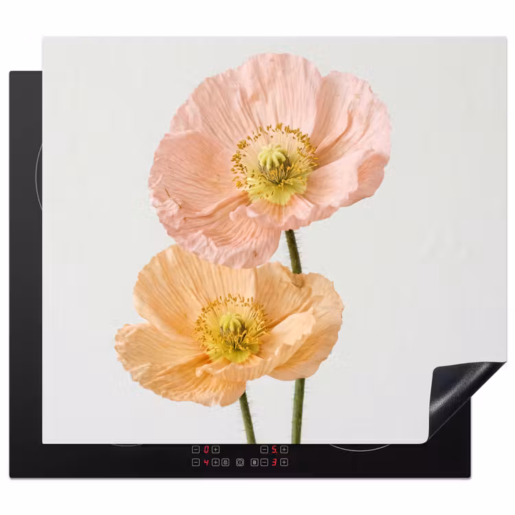 Protector de inducción - Amapolas - Botánico - Rosa — 1