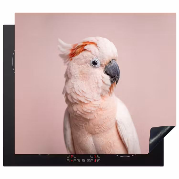 Protector de inducción - Cacatúa - Retrato - Rosa — 1