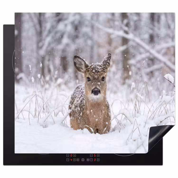 Protector de inducción - Ciervo - Nieve - Bosque - Animales - Adorable — 1