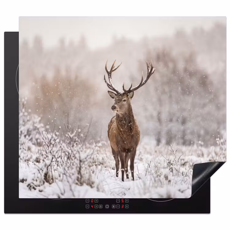 Protector de inducción - Ciervo rojo - Bosque - Nieve - Invierno - Majestuoso — 1