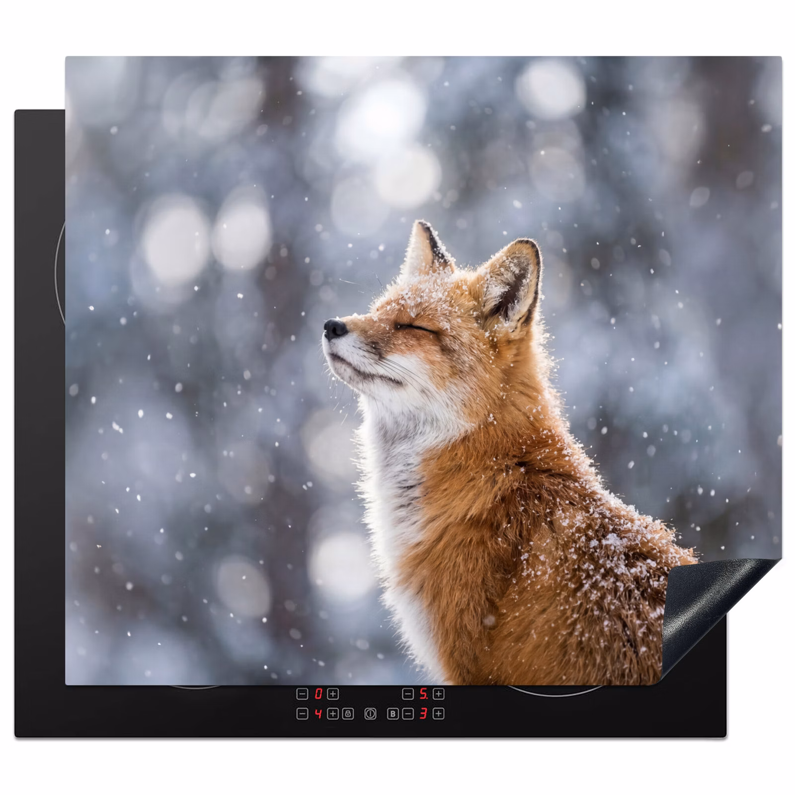 Protector de inducción - Zorro - Nevadas - Retrato - Invierno - Atmosférico — 1