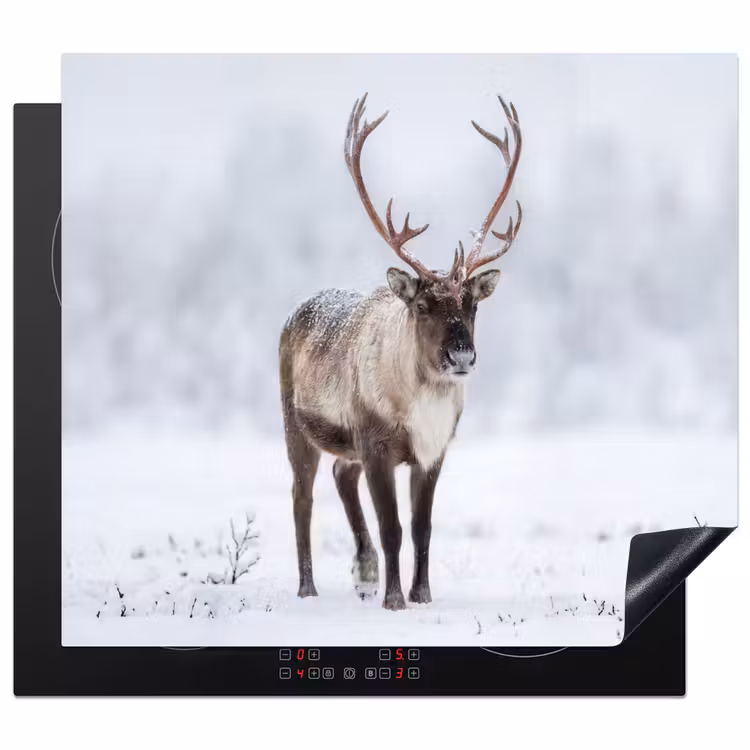 Protector de inducción - Reno - Cornamenta - Tundra - Nieve - Salvaje — 1