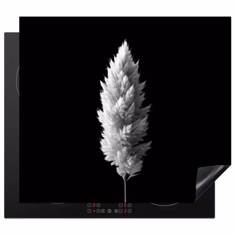 Protector de inducción - Hierba de la Pampa - Blanco y negro - Plantas — 1