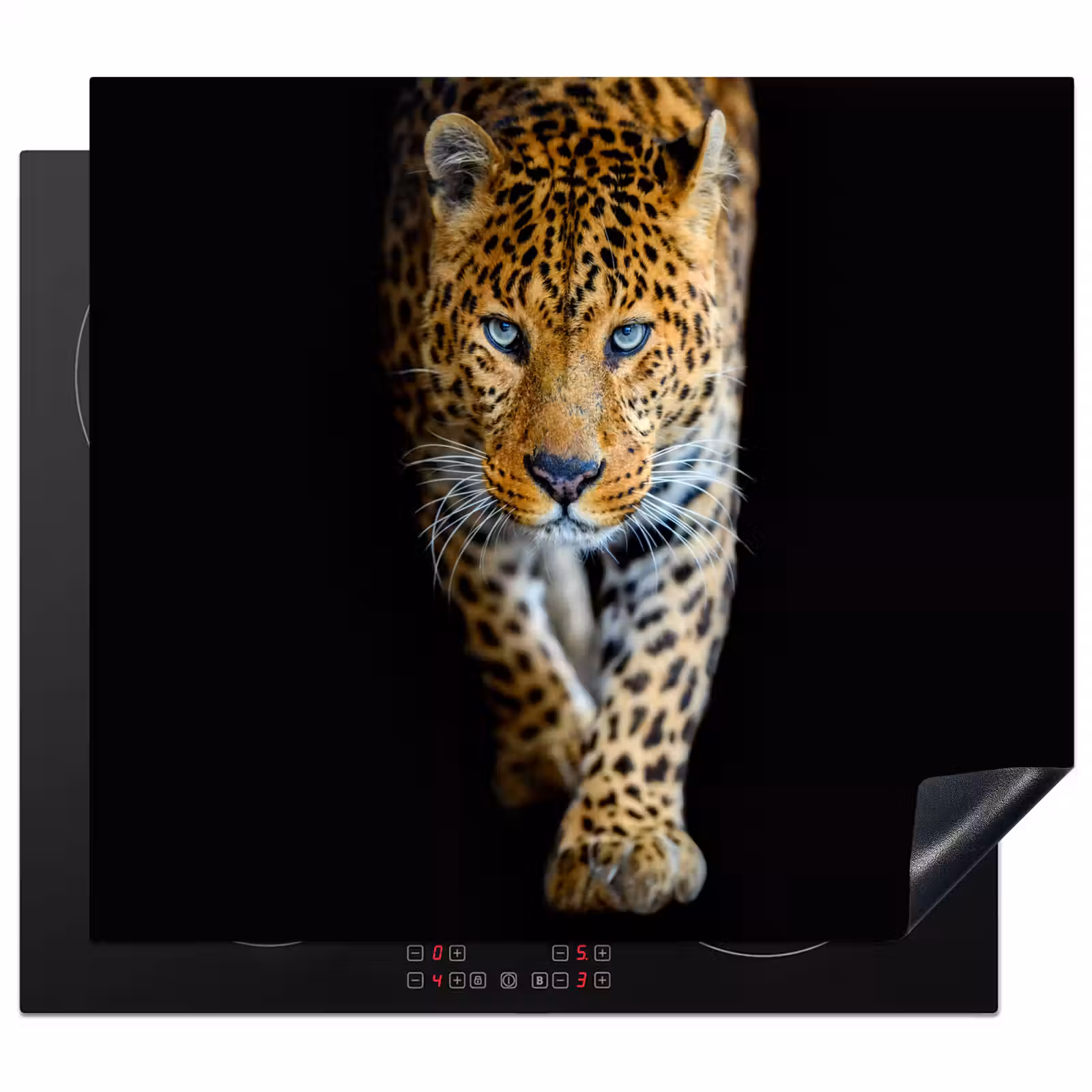 Protector de inducción - La camminata crepuscolare di un leopardo — 1