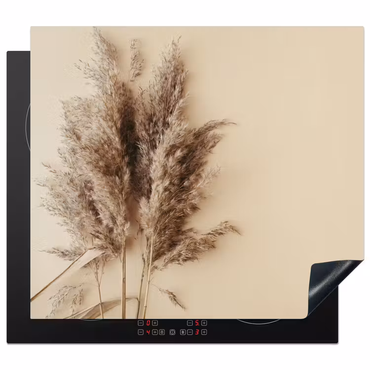 Protector de inducción - La sottile danza delle canne — 1