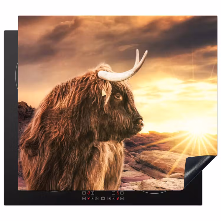 Protector de inducción - Tramonto sulle Highlands — 1