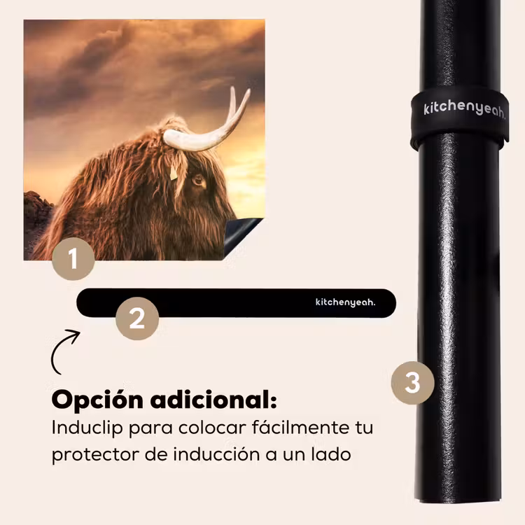 Protector de inducción - Tramonto sulle Highlands — 8