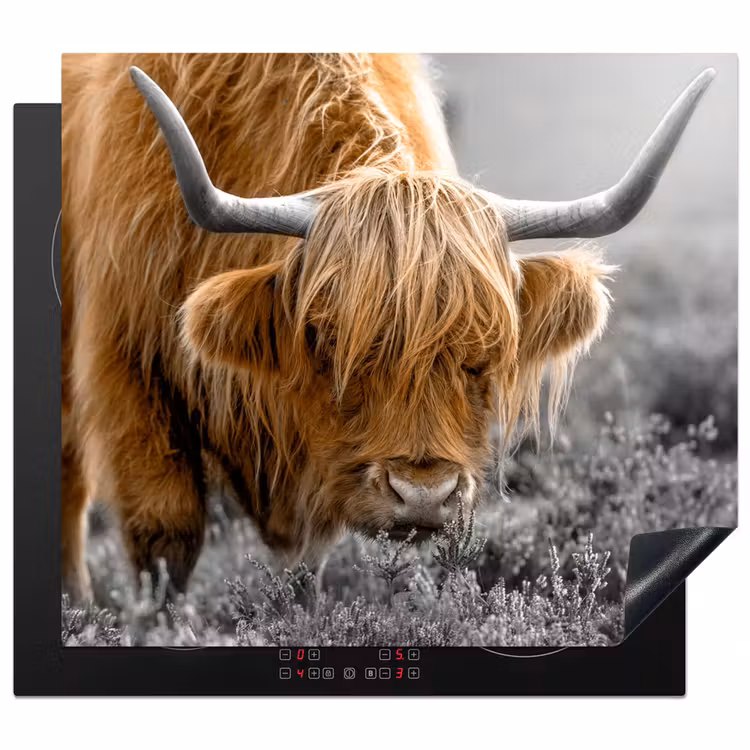 Protector de inducción - Sfumature d'autunno nelle Highlands — 1