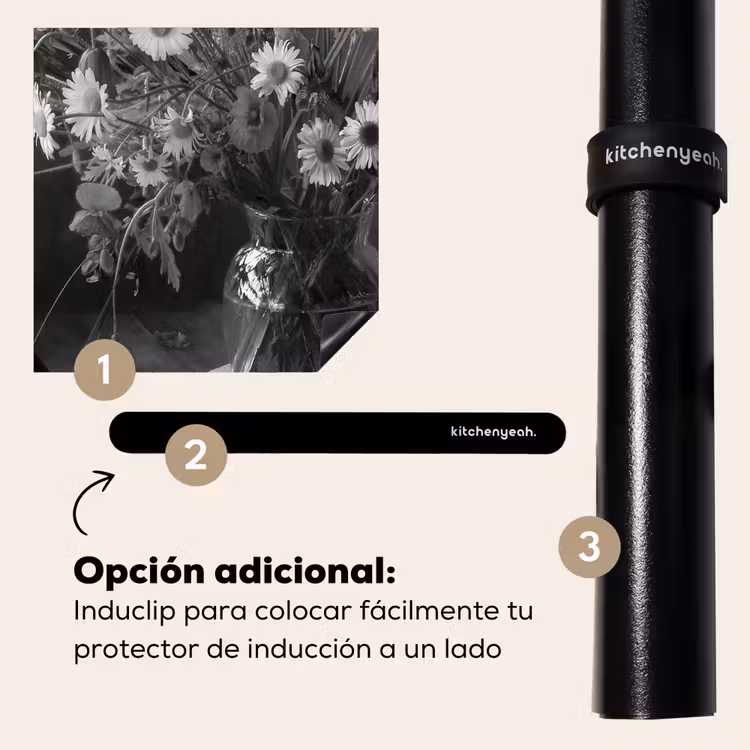 Protector de inducción - Momento monocromatico — 8