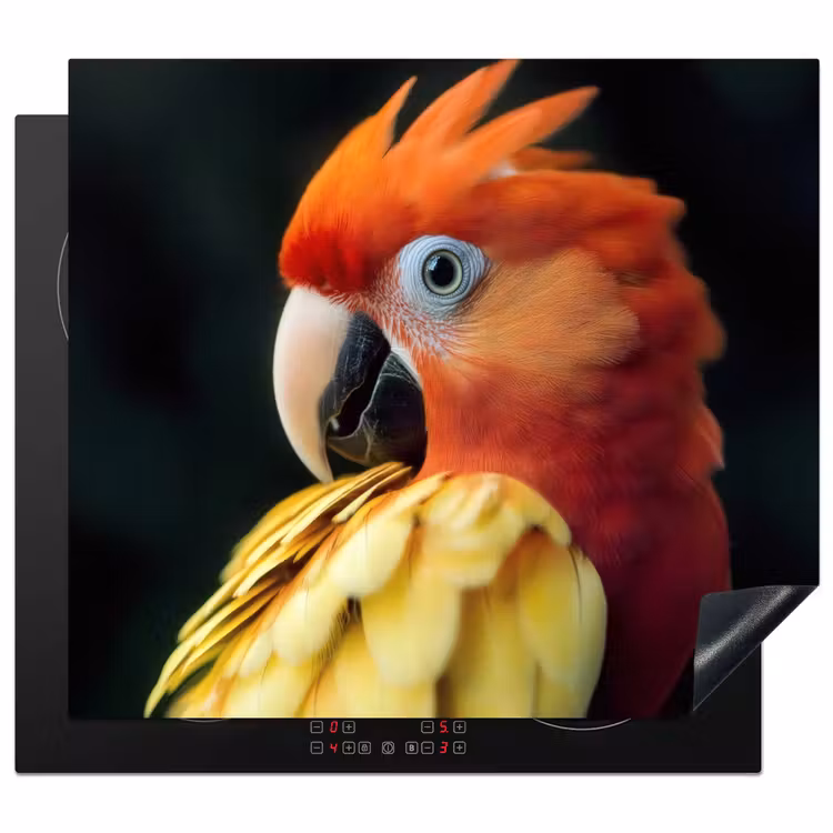Protector de inducción - Primer plano - Loro - Plumas - Naranja — 1