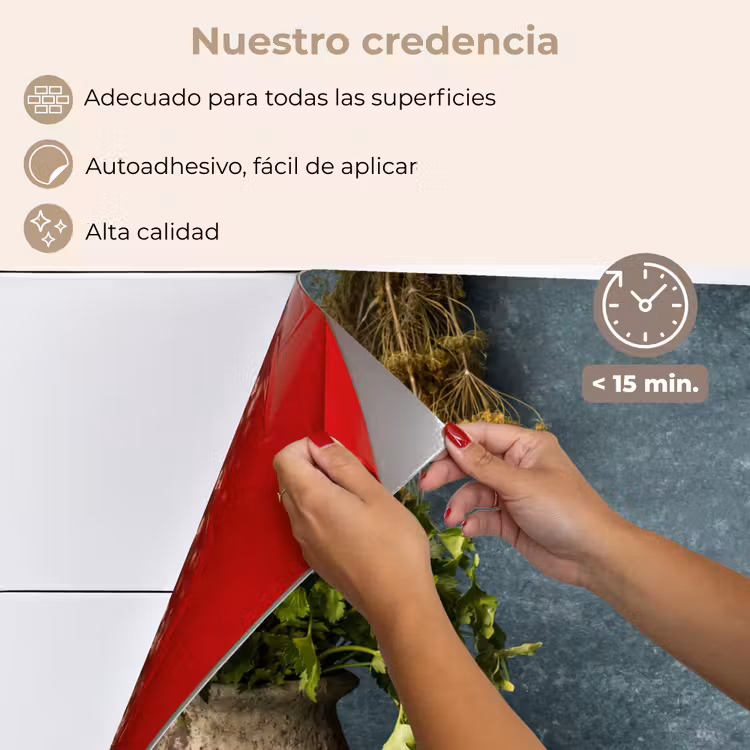 Salpicaderos de cocina - Bodegón con hierbas de cocina — 4
