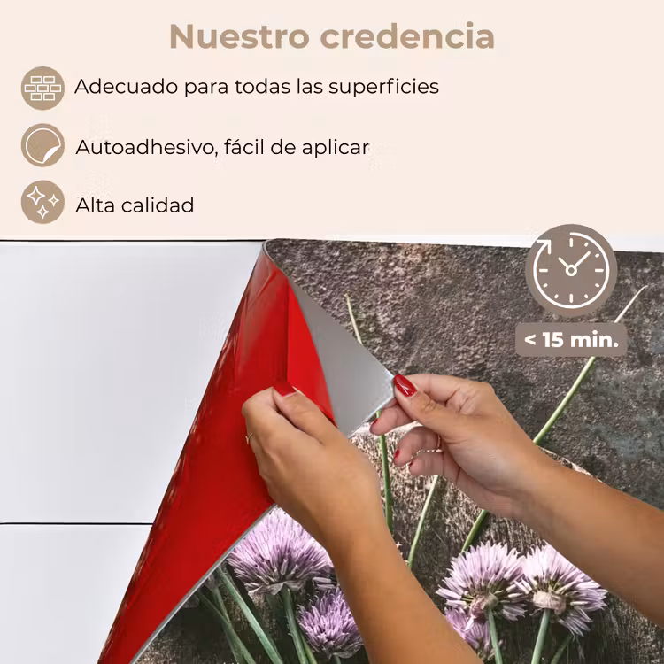 Salpicaderos de cocina - Naturaleza muerta con cebollino — 4