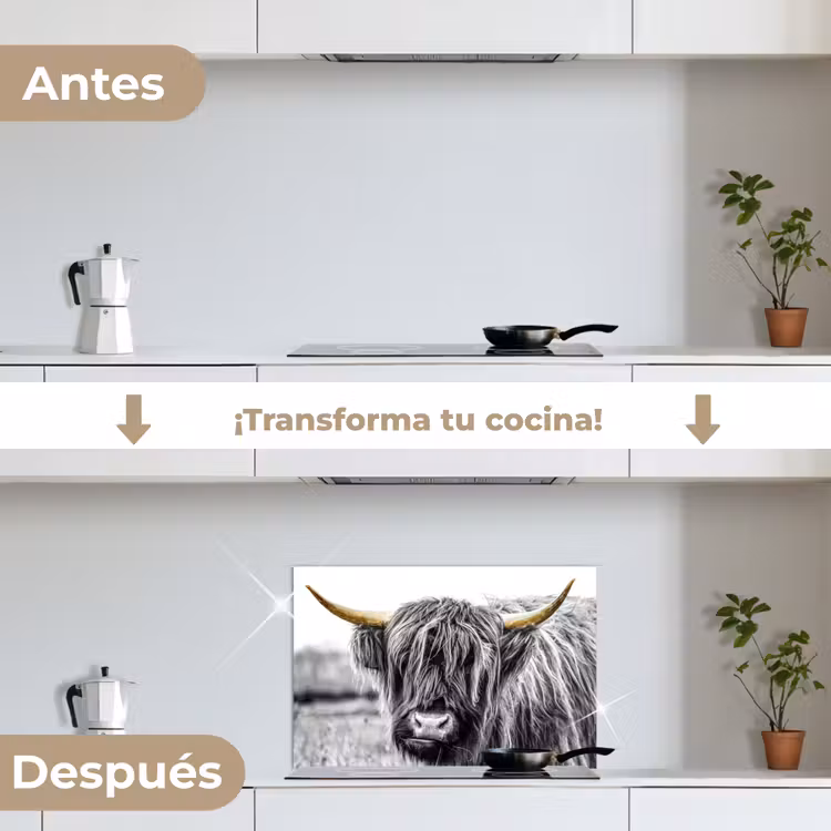 Salpicaderos de cocina - La mirada del montañés — 7