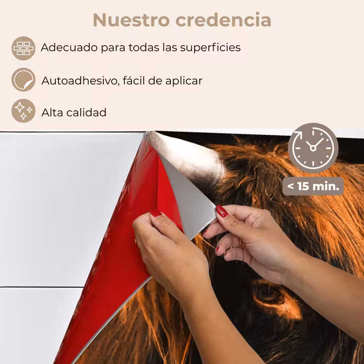 Salpicaderos de cocina - Mirada mística — 4
