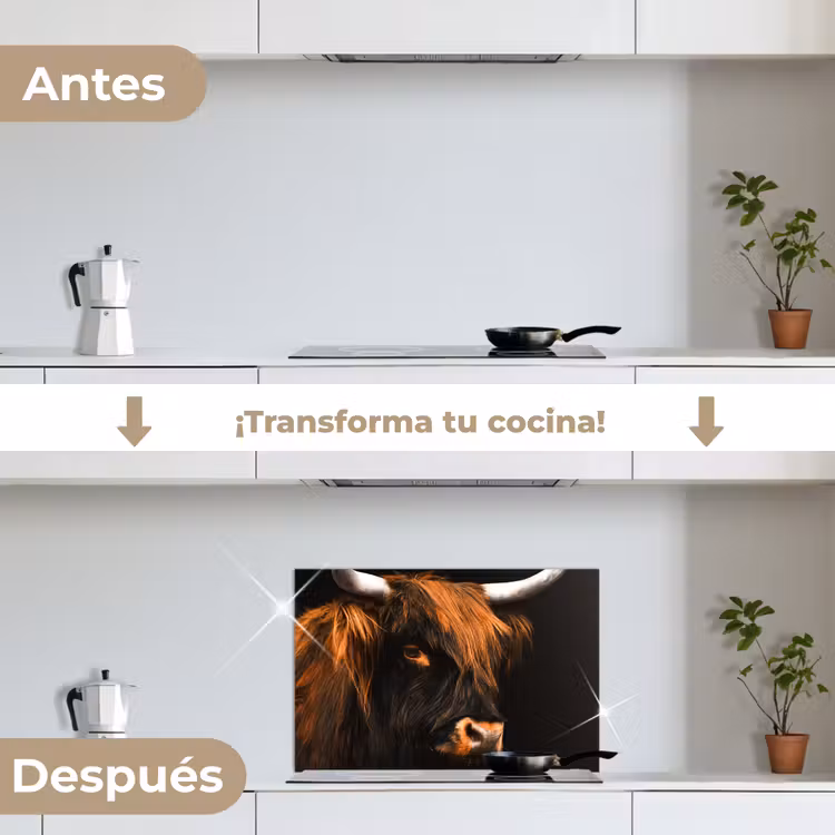 Salpicaderos de cocina - Mirada mística — 7