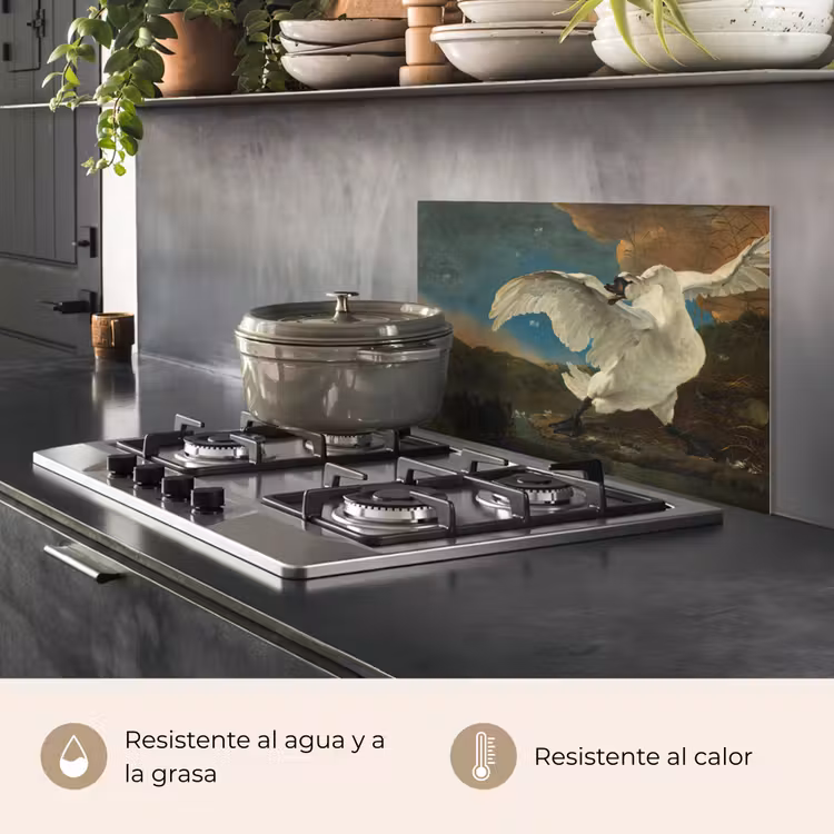 Salpicaderos de cocina - Cisne - Maestros antiguos - Jan Asselijn — 2