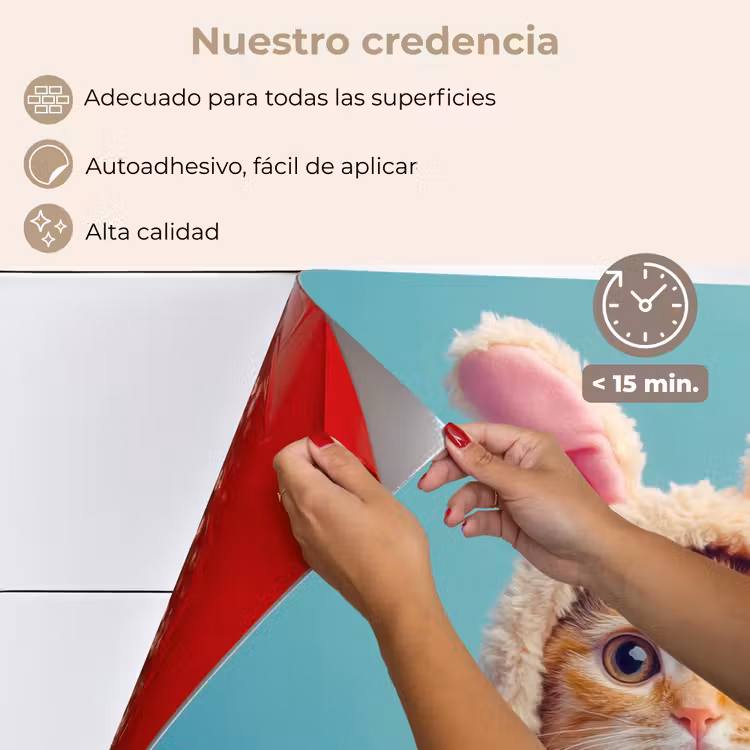Salpicaderos de cocina - Conejo de Pascua - Gato - Disfraz — 4