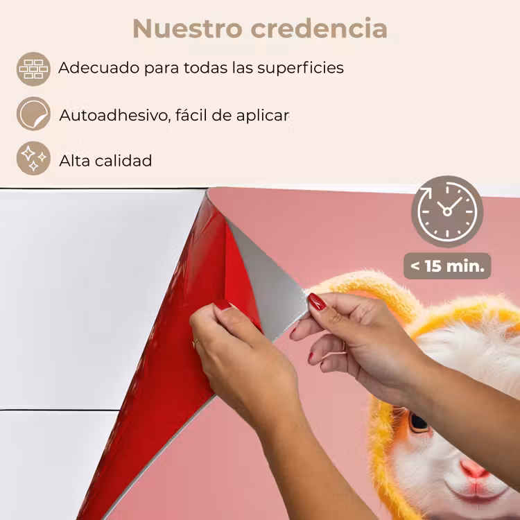 Salpicaderos de cocina - Disfraz - Cabra - Conejo de Pascua — 4
