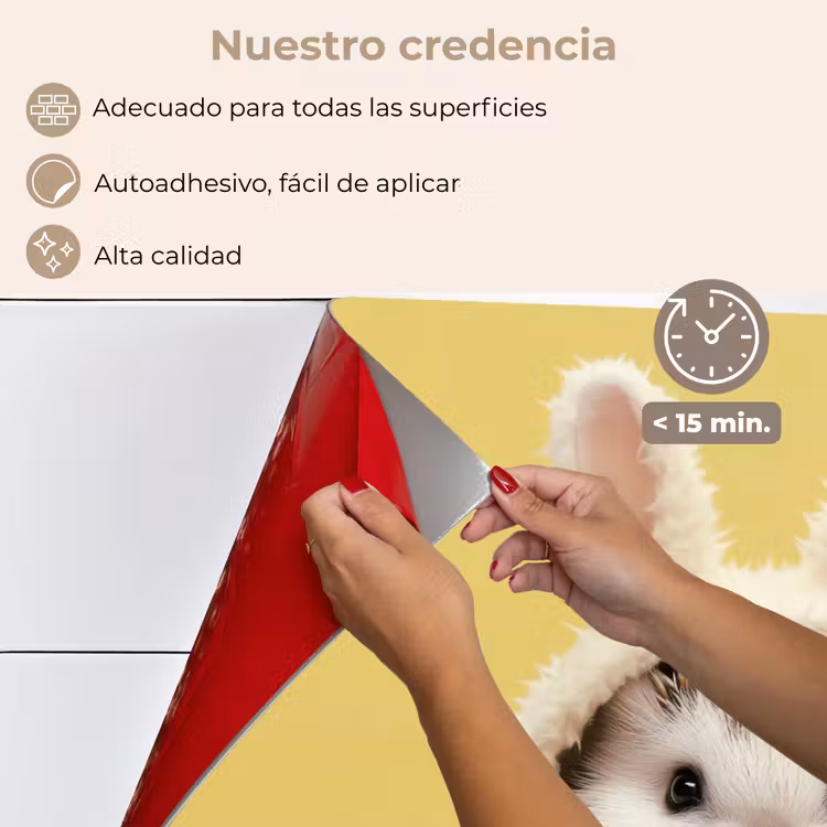 Salpicaderos de cocina - Erizo - Conejo de Pascua - Disfraz — 4