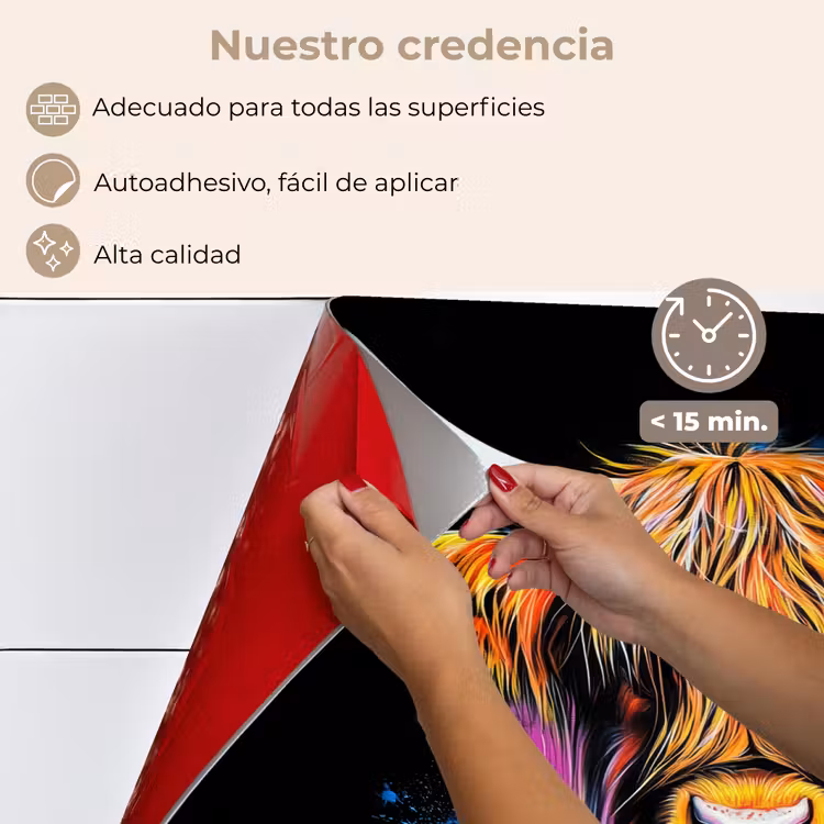 Salpicaderos de cocina - Highlander escocés - Graffiti - Colorido - Flor - Animales — 4