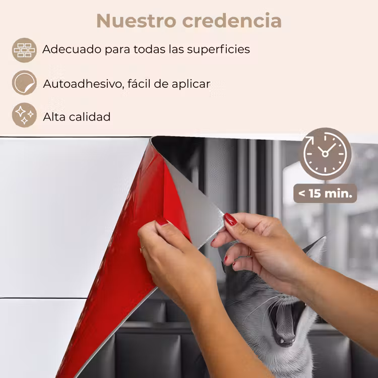 Salpicaderos de cocina - Gato - Café - Pan - Negro — 4