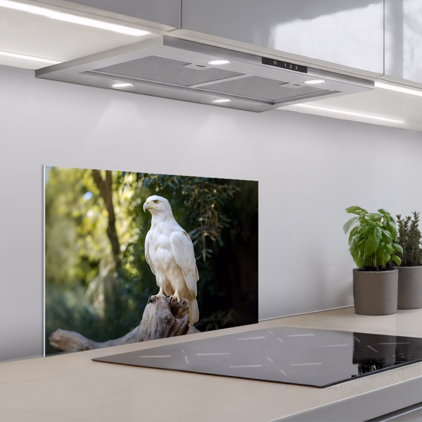 Salpicaderos de cocina - Águila - Madera - Blanco - Plantas — 1