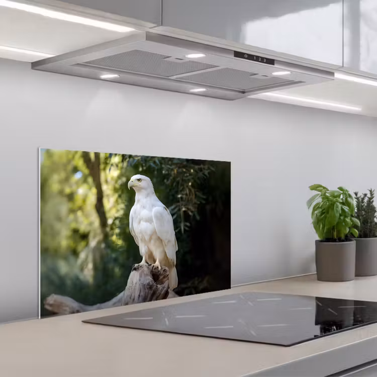 Salpicaderos de cocina - Águila - Madera - Blanco - Plantas — 1