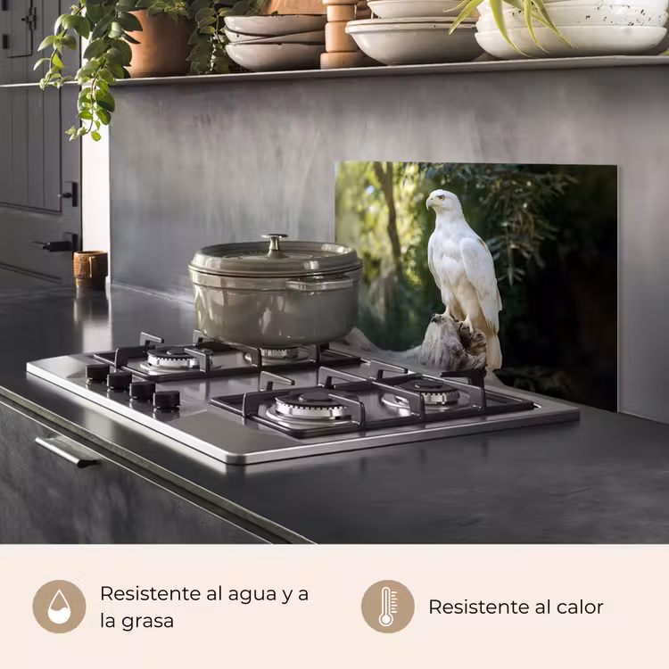 Salpicaderos de cocina - Águila - Madera - Blanco - Plantas — 2