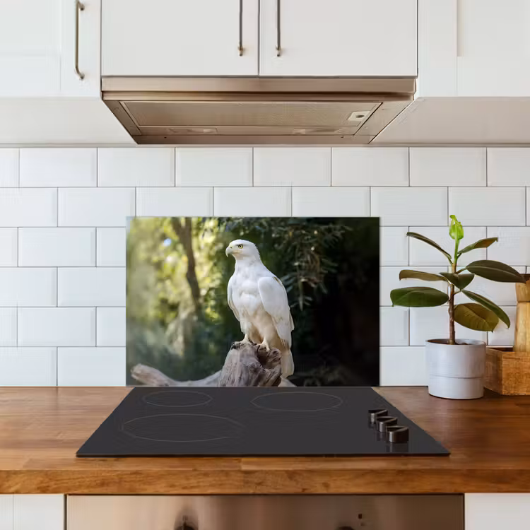 Salpicaderos de cocina - Águila - Madera - Blanco - Plantas — 3