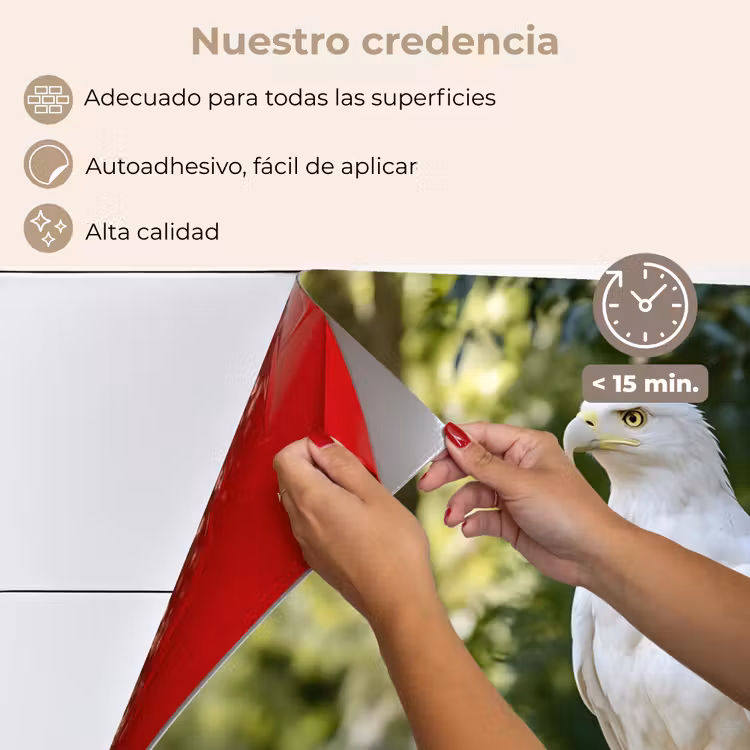 Salpicaderos de cocina - Águila - Madera - Blanco - Plantas — 4