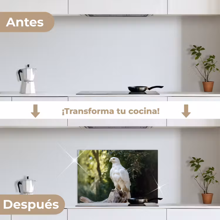 Salpicaderos de cocina - Águila - Madera - Blanco - Plantas — 7