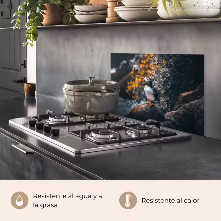 Salpicaderos de cocina - Loro - Pájaro - Roca - Blanco — 2