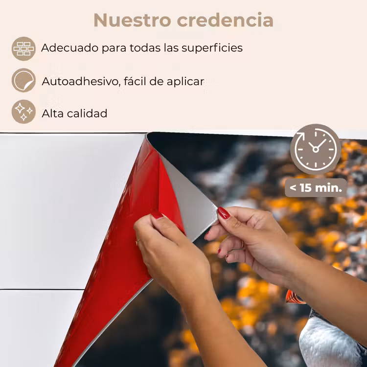 Salpicaderos de cocina - Loro - Pájaro - Roca - Blanco — 4