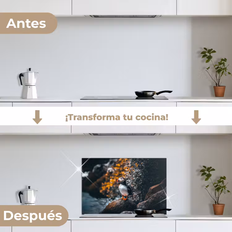 Salpicaderos de cocina - Loro - Pájaro - Roca - Blanco — 7