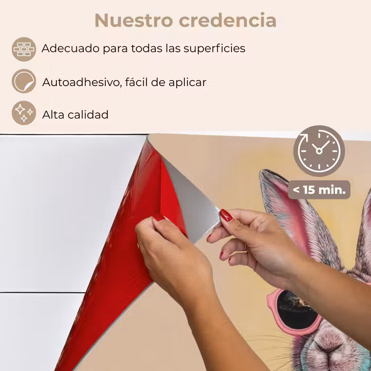 Salpicaderos de cocina - Gris - Conejo - Blusa - Pajarita — 4